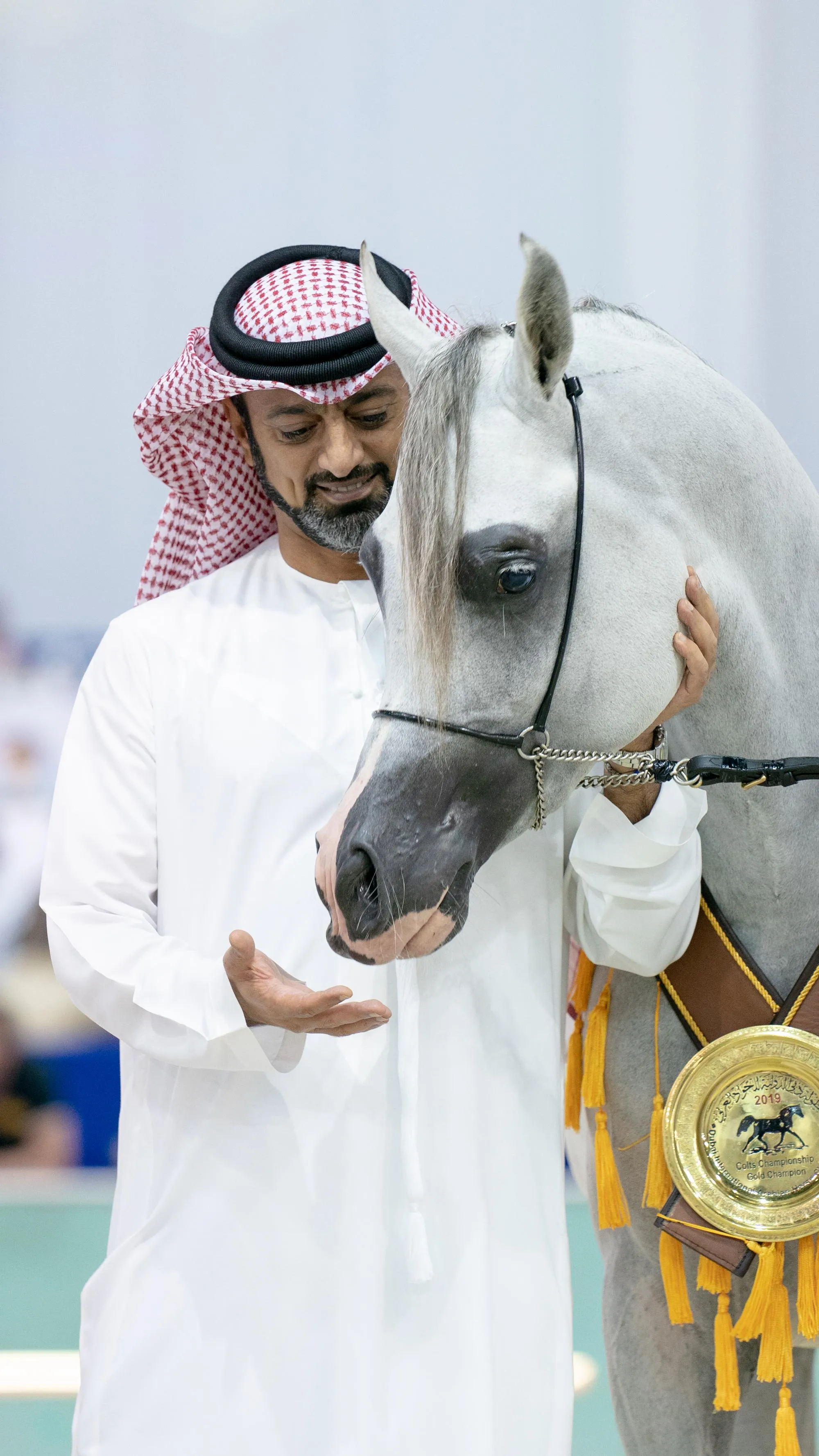 Al Sheikh Ammar bin Humaid Al Nuaimi