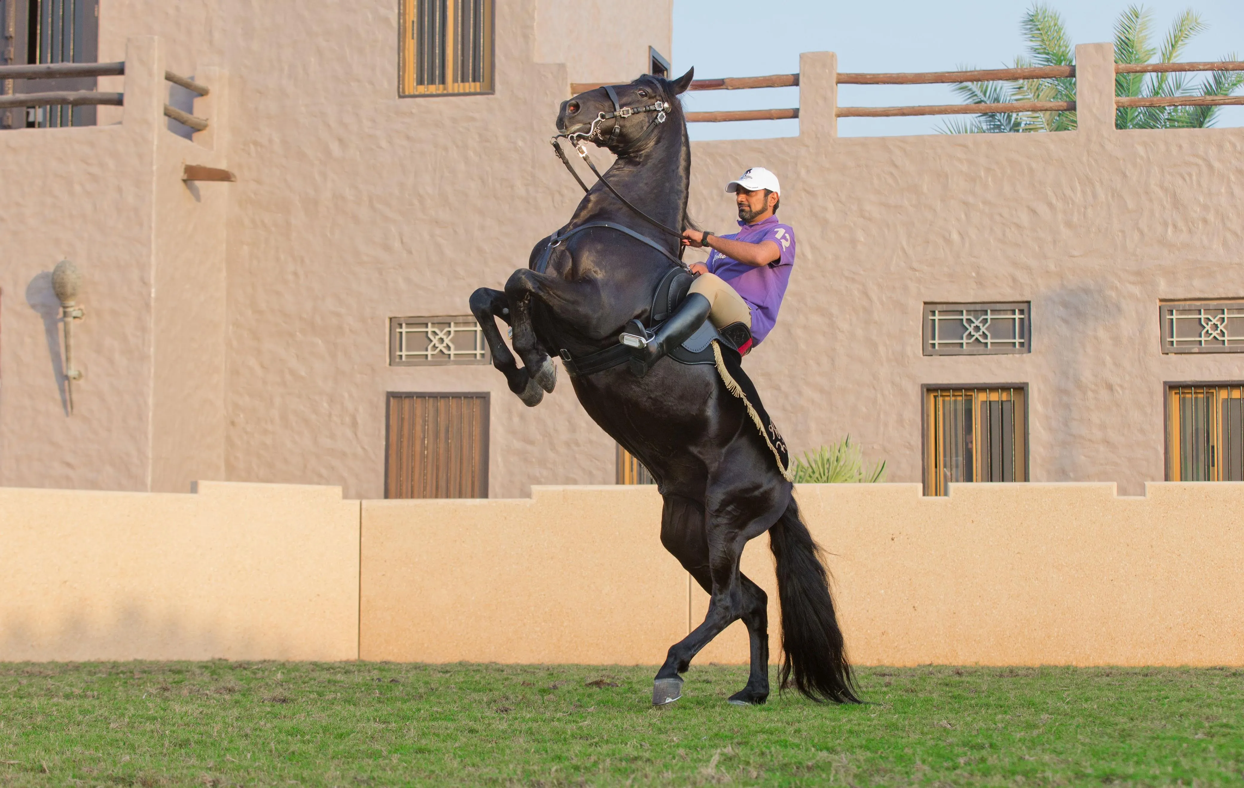 Al Sheikh Ammar bin Humaid Al Nuaimi 